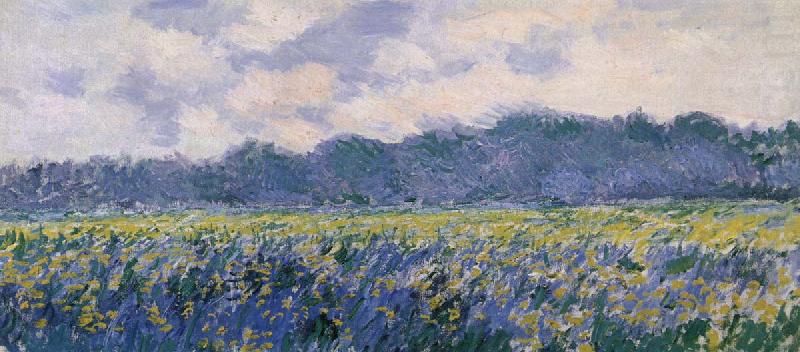 Claude Monet Field of Irses at Giverny china oil painting image